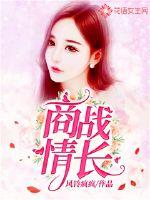 商战情长